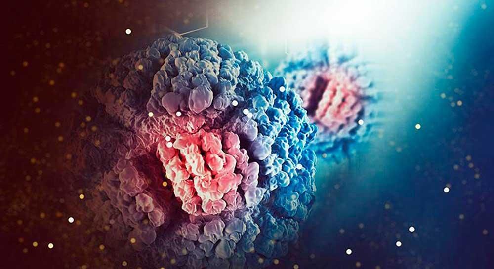 La microbiota corresponde a un diverso grupo bacterias, hongos, virus distribuido en la piel, en las mucosas, en el aparato respiratorio, en el aparato gastrointestinal, donde la más grande se encuentra en el aparato digestivo.